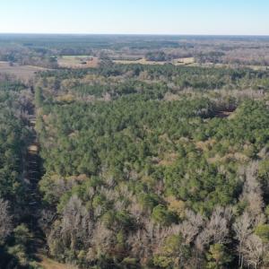 Photo #5 of SOLD property in Off Kansas Road, Dover, NC 4.0 acres