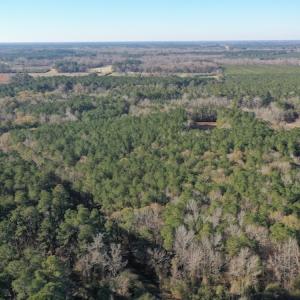 Photo #6 of SOLD property in Off Kansas Road, Dover, NC 4.0 acres
