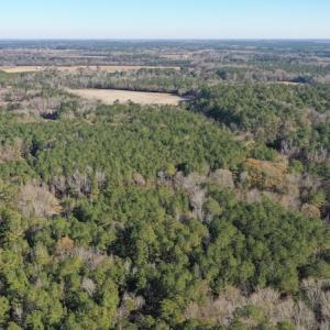 Photo #7 of SOLD property in Off Kansas Road, Dover, NC 4.0 acres