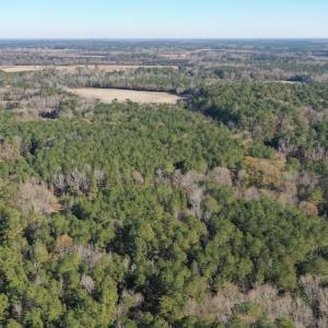 Photo #8 of SOLD property in Off Kansas Road, Dover, NC 4.0 acres