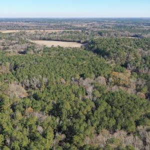 Photo #8 of SOLD property in Off Kansas Road, Dover, NC 4.0 acres