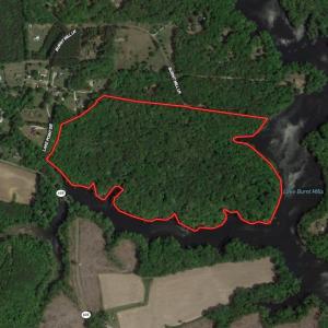 Photo #1 of Off Murphy Mill Road, Windsor, VA 48.8 acres