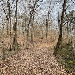 Photo #13 of Off Murphy Mill Road, Windsor, VA 48.8 acres