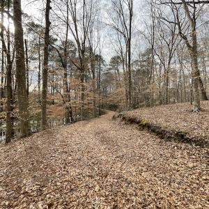 Photo #14 of Off Murphy Mill Road, Windsor, VA 48.8 acres