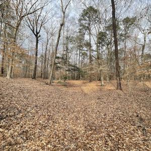 Photo #16 of Off Murphy Mill Road, Windsor, VA 48.8 acres