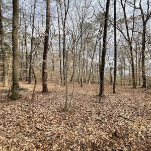 Photo #17 of Off Murphy Mill Road, Windsor, VA 48.8 acres