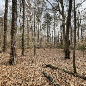 Photo #18 of Off Murphy Mill Road, Windsor, VA 48.8 acres
