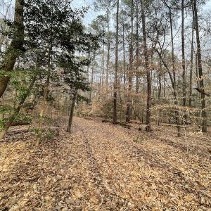 Photo #19 of Off Murphy Mill Road, Windsor, VA 48.8 acres