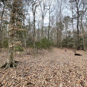 Photo #21 of Off Murphy Mill Road, Windsor, VA 48.8 acres