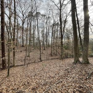 Photo #22 of Off Murphy Mill Road, Windsor, VA 48.8 acres