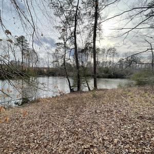 Photo #25 of Off Murphy Mill Road, Windsor, VA 48.8 acres