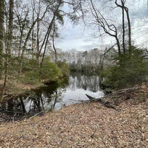 Photo #26 of Off Murphy Mill Road, Windsor, VA 48.8 acres