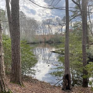 Photo #27 of Off Murphy Mill Road, Windsor, VA 48.8 acres