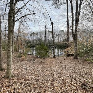 Photo #28 of Off Murphy Mill Road, Windsor, VA 48.8 acres