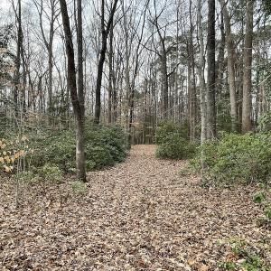 Photo #29 of Off Murphy Mill Road, Windsor, VA 48.8 acres