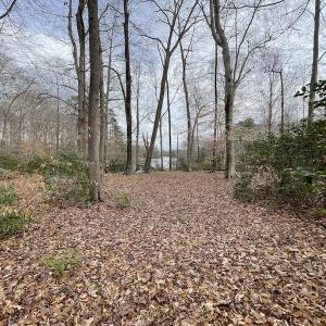 Photo #30 of Off Murphy Mill Road, Windsor, VA 48.8 acres