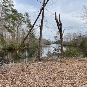 Photo #31 of Off Murphy Mill Road, Windsor, VA 48.8 acres