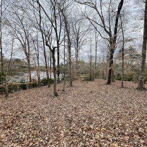 Photo #32 of Off Murphy Mill Road, Windsor, VA 48.8 acres