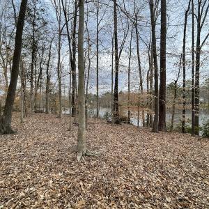 Photo #33 of Off Murphy Mill Road, Windsor, VA 48.8 acres