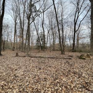 Photo #35 of Off Murphy Mill Road, Windsor, VA 48.8 acres