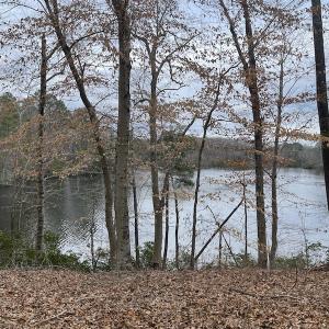 Photo #37 of Off Murphy Mill Road, Windsor, VA 48.8 acres