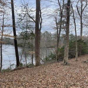 Photo #39 of Off Murphy Mill Road, Windsor, VA 48.8 acres