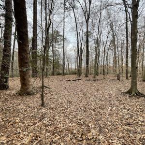 Photo #40 of Off Murphy Mill Road, Windsor, VA 48.8 acres