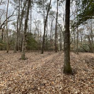 Photo #41 of Off Murphy Mill Road, Windsor, VA 48.8 acres