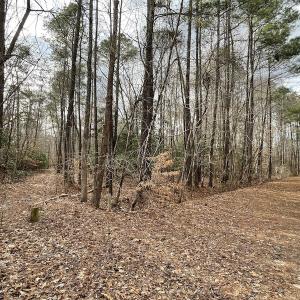 Photo #42 of Off Murphy Mill Road, Windsor, VA 48.8 acres