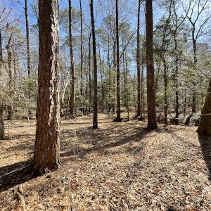 Photo #44 of Off Murphy Mill Road, Windsor, VA 48.8 acres