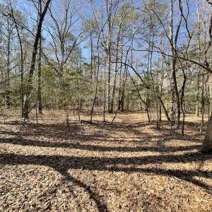 Photo #45 of Off Murphy Mill Road, Windsor, VA 48.8 acres