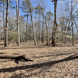 Photo #46 of Off Murphy Mill Road, Windsor, VA 48.8 acres