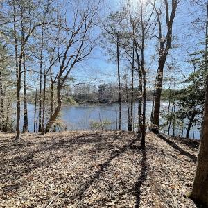 Photo #47 of Off Murphy Mill Road, Windsor, VA 48.8 acres