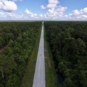 Photo #2 of SOLD property in Off New Lake Road, Belhaven, NC 59.1 acres