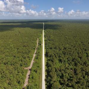 Photo #3 of SOLD property in Off New Lake Road, Belhaven, NC 59.1 acres