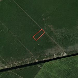 Photo #13 of SOLD property in Off New Lake Road, Belhaven, NC 59.1 acres