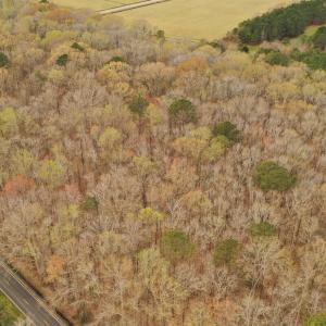 Photo #8 of Off Johnstown Road, Chesapeake, VA 32.6 acres