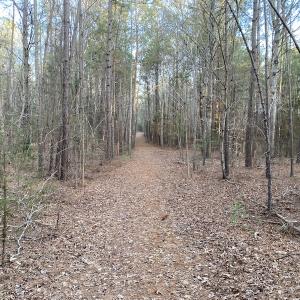 Photo #2 of SOLD property in Off Mabe Road, Star, NC 30.3 acres