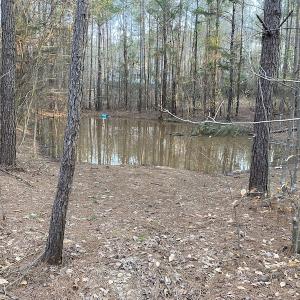 Photo #3 of SOLD property in Off Mabe Road, Star, NC 30.3 acres