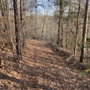 Photo #4 of SOLD property in Off Mabe Road, Star, NC 30.3 acres