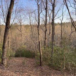 Photo #5 of SOLD property in Off Mabe Road, Star, NC 30.3 acres