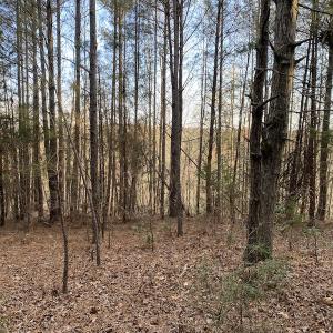 Photo #7 of SOLD property in Off Mabe Road, Star, NC 30.3 acres