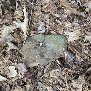 Photo #12 of SOLD property in Off Mabe Road, Star, NC 30.3 acres