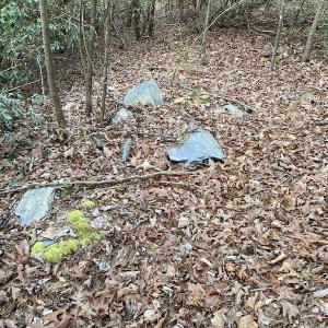 Photo #13 of SOLD property in Off Mabe Road, Star, NC 30.3 acres