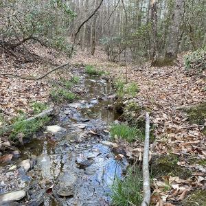 Photo #14 of SOLD property in Off Mabe Road, Star, NC 30.3 acres