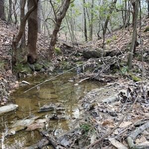 Photo #16 of SOLD property in Off Mabe Road, Star, NC 30.3 acres