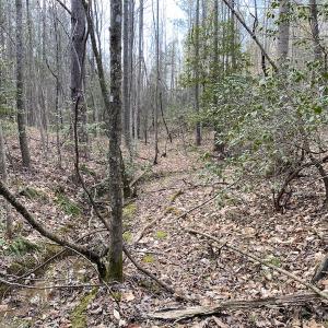 Photo #17 of SOLD property in Off Mabe Road, Star, NC 30.3 acres