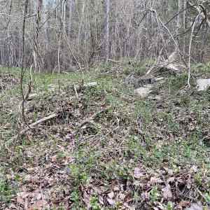 Photo #18 of SOLD property in Off Mabe Road, Star, NC 30.3 acres