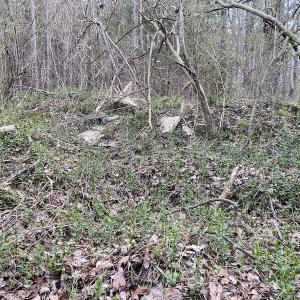 Photo #19 of SOLD property in Off Mabe Road, Star, NC 30.3 acres