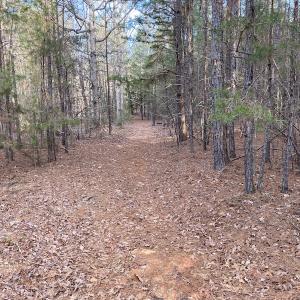 Photo #22 of SOLD property in Off Mabe Road, Star, NC 30.3 acres